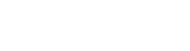 BranchAi white logo